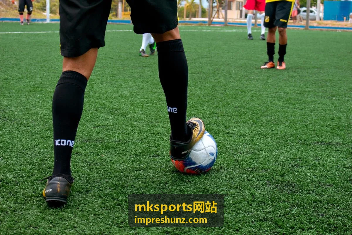 mksports网站整场回放专题极光队对阵海风队赛事封面